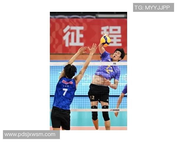 实时新闻上海排球队战术分析与表现评析全景解读